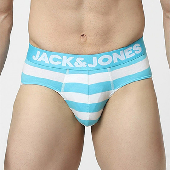 https://www.shop-ally.in/products/men-blue-striped-basic-briefs